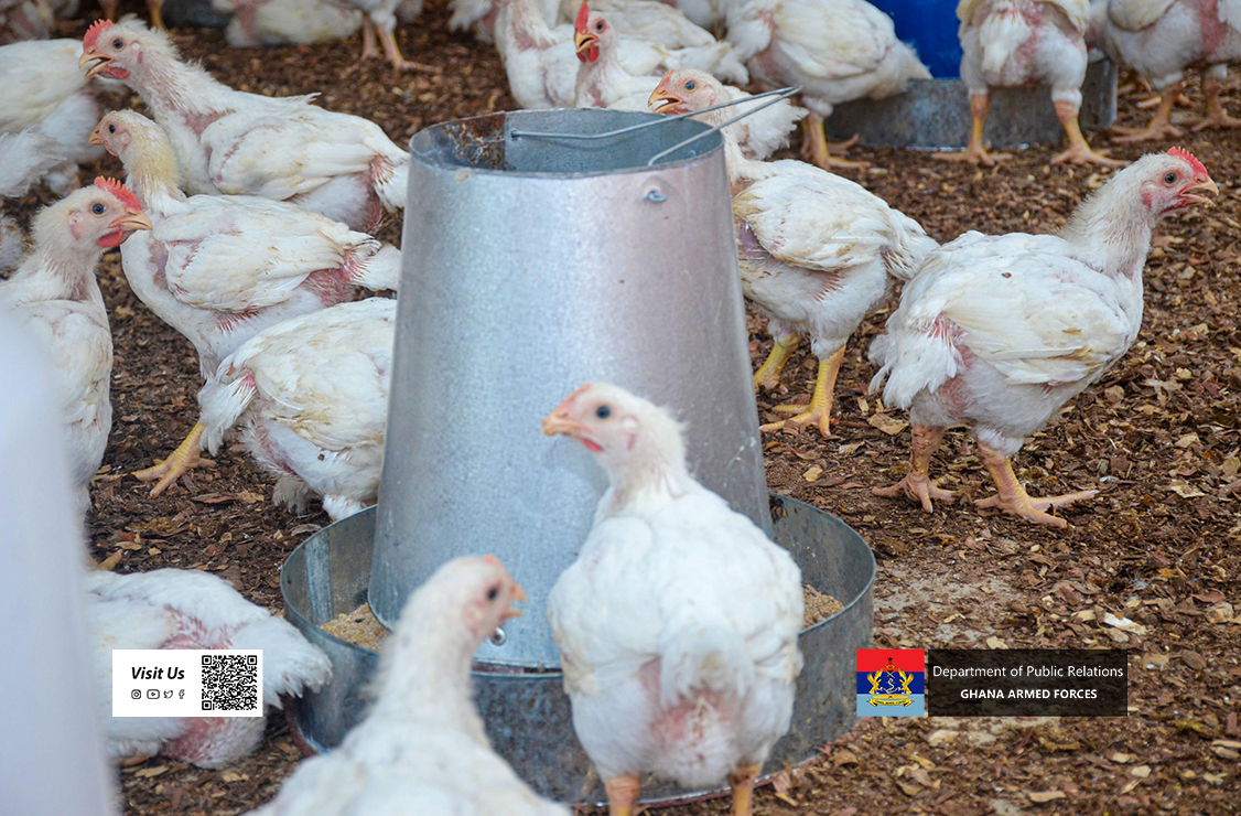 S/COMD GOC COMMISSIONS 1 INFANTRY BATTALION’S NEW POULTRY FARM - Image 3